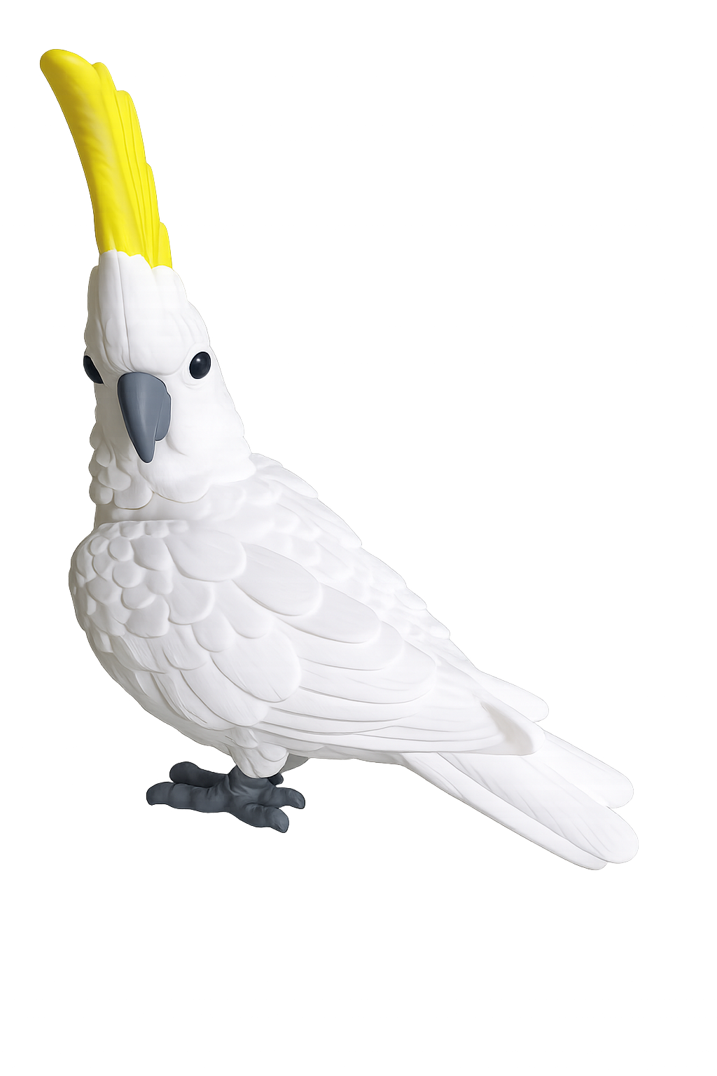 Sulphur-Crested Cockatoo