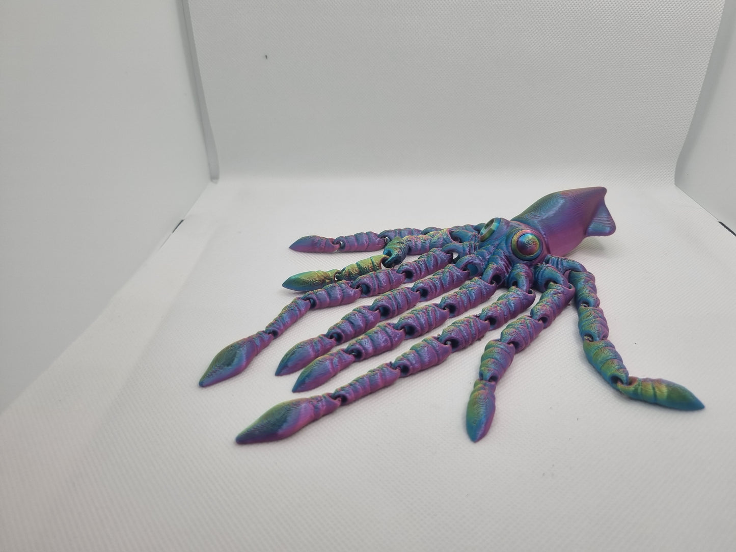 3D Articulated Squid